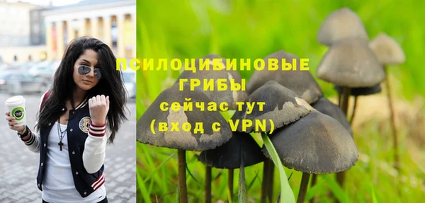 кокаин премиум Бородино