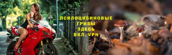 эйфоретик Бронницы
