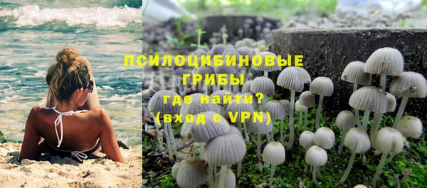 эйфоретик Бронницы