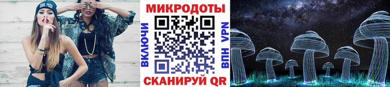 Галлюциногенные грибы Psilocybe  МЕГА ССЫЛКА  Елизаветинская 